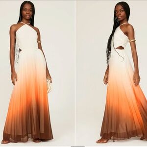 Rachel Roy Ombre Pleated Dress Size 4 NWT